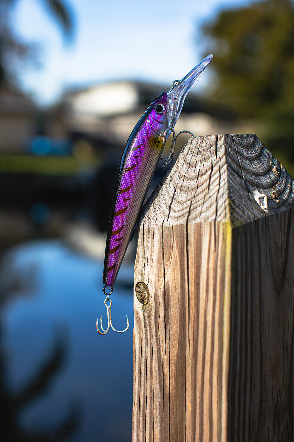 Deep Diver Jerkbait & Trolling