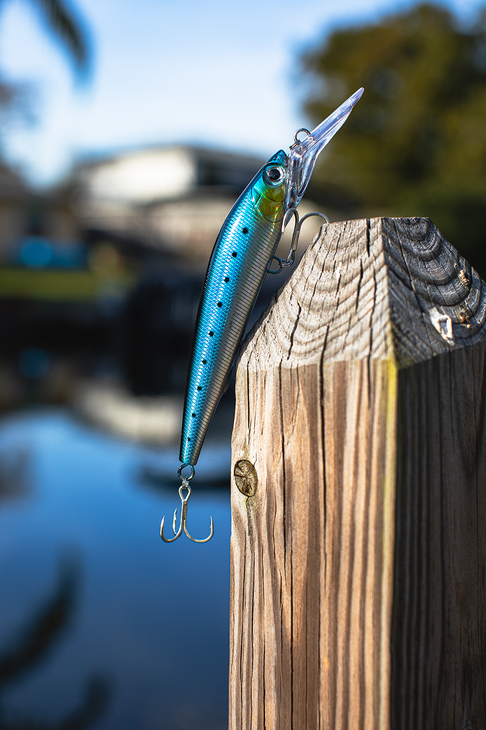 Deep Diver Jerkbait & Trolling