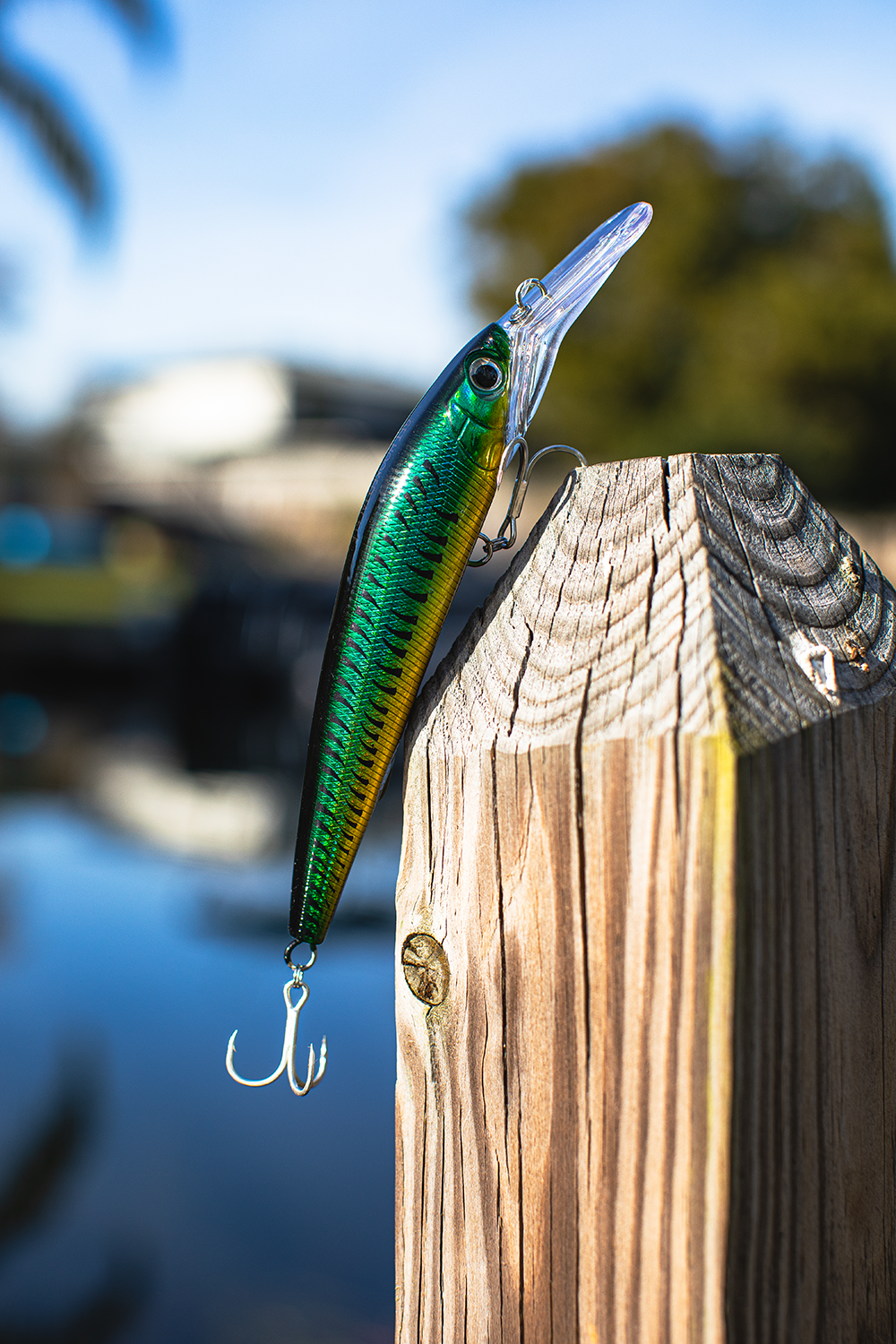Deep Diver Jerkbait & Trolling