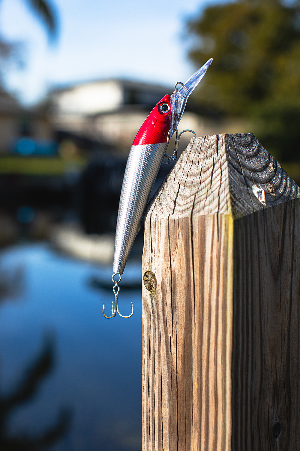 Deep Diver Jerkbait & Trolling