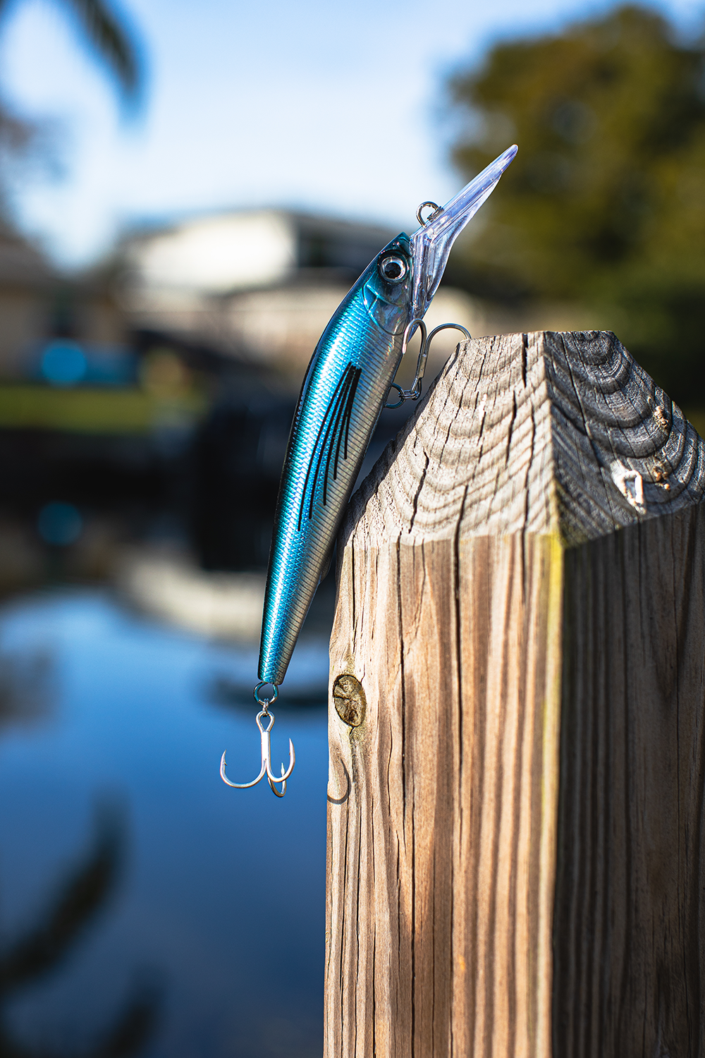 Deep Diver Jerkbait & Trolling